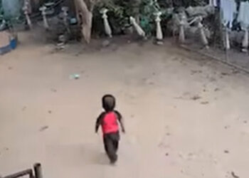 18-Month-Old Child Dies After Falling into Pool at Thorakolayaya Little Power Day Care Center