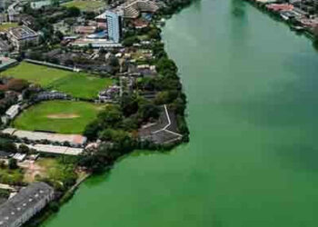 Clean Sri Lanka, but Beira Lake’s Strong Odor Makes It Hard to Stay
