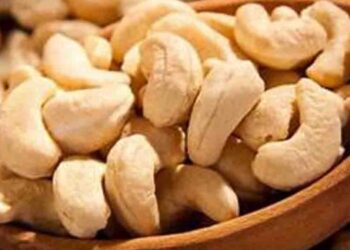 Import Permit Chaos Leaves Thousands of Containers Stuck, Cashew Shortage Worsens