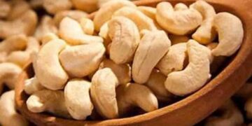 Import Permit Chaos Leaves Thousands of Containers Stuck, Cashew Shortage Worsens