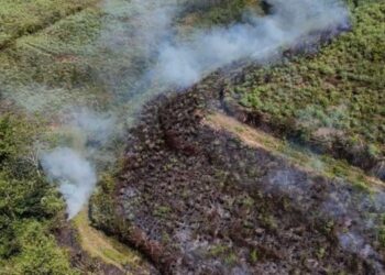 Sudden Fire Erupts in Dikoya-Dorawala Estate Forest Reserve