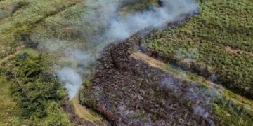 Sudden Fire Erupts in Dikoya-Dorawala Estate Forest Reserve