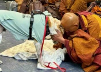 World Peace March Participant Venerable Pannakara Yathindrayana Arrives in Sri Lanka with Aloka