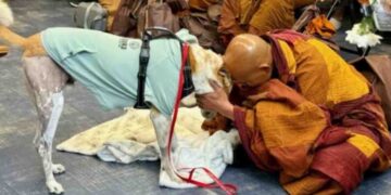 Aloka the Service Dog Joins Sri Lanka’s Historic Walk for Peace