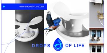 A Simple Urban Solution Can Help Save Birds During Extreme Heat