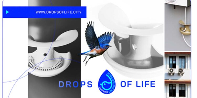 A Simple Urban Solution Can Help Save Birds During Extreme Heat