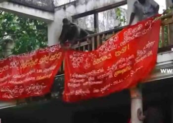 IUSF Protests Demanding Malwana Property Be Handed Over for Public Use