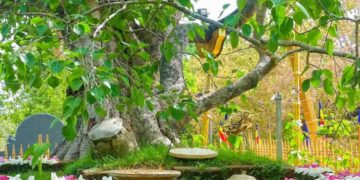 Sri Maha Bodhi in Serious Danger! Tree Could Even Die, Unauthorized Work Causing Major Environmental Changes, Big Revelation During Vesak Week