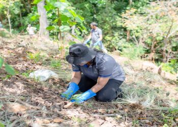 CSE Completes Second Planting Phase of 4000 Trees in Rajawaka Forest