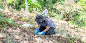 CSE Completes Second Planting Phase of 4000 Trees in Rajawaka Forest