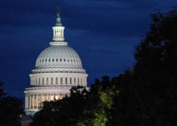 US Global Perception Declines for Second Year, Falls Below Russia: Democracy Survey
