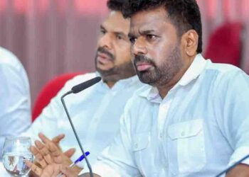 Fertilizer Prices May Rise as Cost of Future Stocks Increases: Deputy Minister Namal Karunaratne