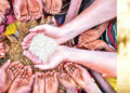Uva Province Records Highest Malnutrition Rate Among Children Under Five