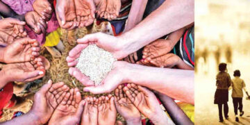 Uva Province Records Highest Malnutrition Rate Among Children Under Five