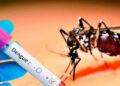 Sri Lanka Records 30 Dengue Deaths as Cases Near 49,000; GMOA Warns of Hyper-Epidemic Risk