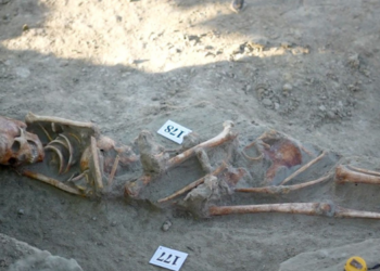EU Delegation to Visit Chemmani Mass Grave as Excavations Recover 423 Human Skeletons