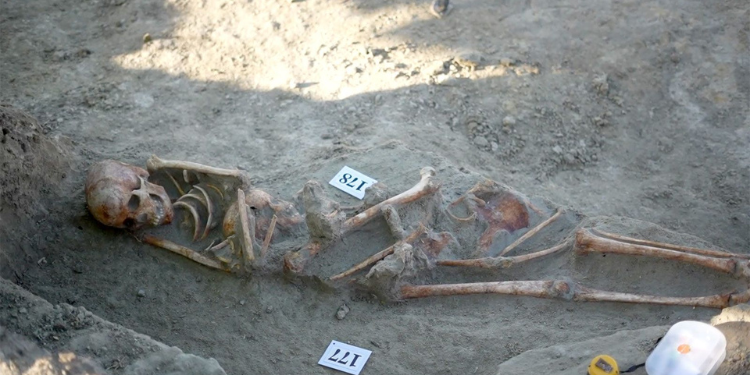 EU Delegation to Visit Chemmani Mass Grave as Excavations Recover 423 Human Skeletons