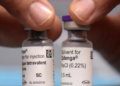 India Gives Green Light to First Dengue Vaccine, QDENGA