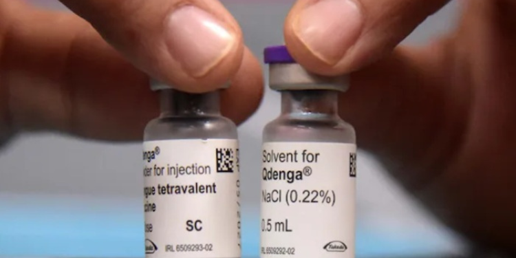 India Gives Green Light to First Dengue Vaccine, QDENGA