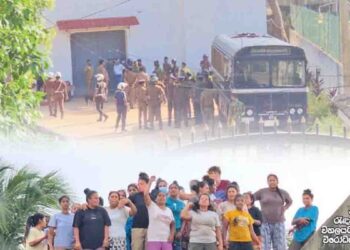 “Police Shot at Us for No Reason!” Prisoners Speak Out After Being Moved to Safety! VIDEO | Sri Lanka Latest News