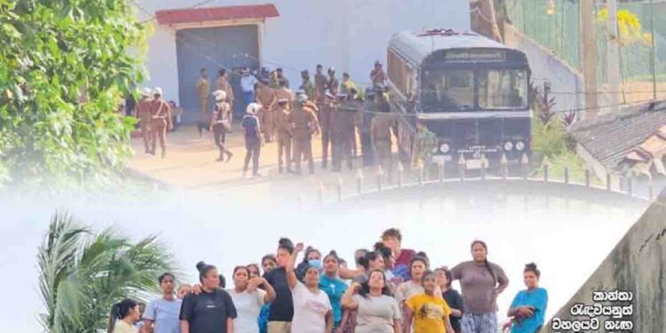 Situation Turns Critical! 15 Dead in Negombo, Including Four Officials! Clash Allegedly Orchestrated by Katuwellegama Suresh! | Sri Lanka Latest News